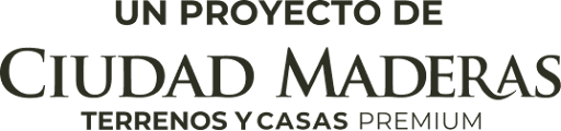 Logo Ciudad Maderas