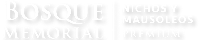 Logo Ciudad Maderas